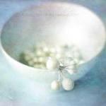 Silver Holly Bokeh Limited Edition Mounted Print