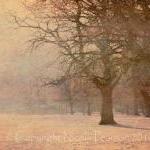 A Winters Tale 20x16 Limited Edition