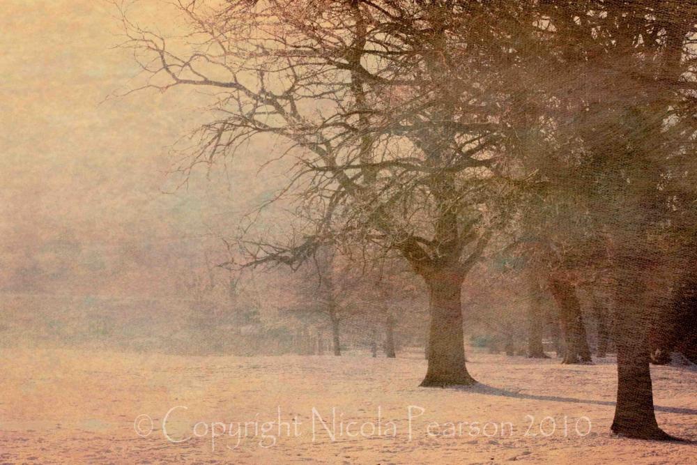 A Winters Tale 20x16 Limited Edition